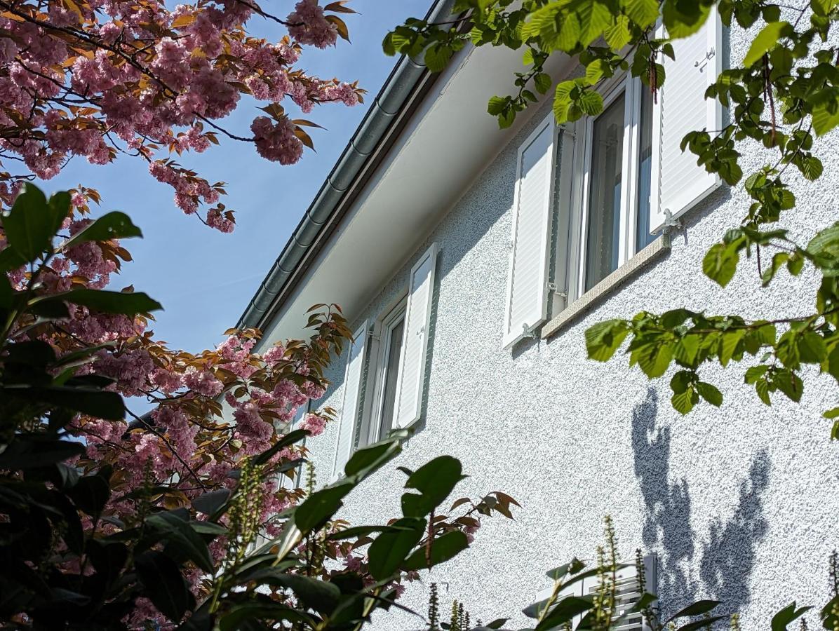 Lago Ferienwohnungen - Gruen Lindau  Exterior photo
